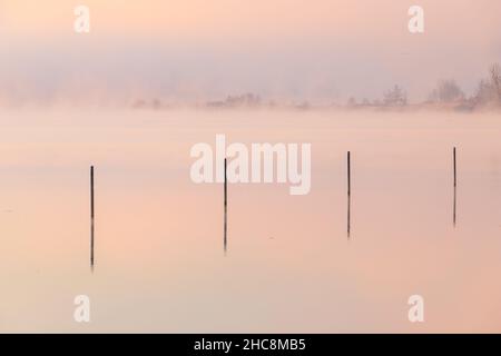 Ein nebliger Morgen bei einem fantastischen, farbenfrohen Sonnenaufgang mit Spiegelungen über dem Teich, der eine magische und geheimnisvolle Atmosphäre in der Natur schafft. Stockfoto