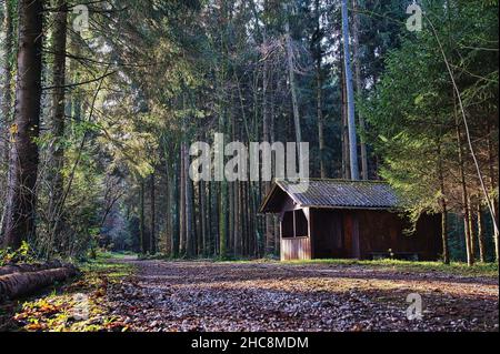 Eine schöne Aufnahme eines Hauses mitten im Wald Stockfoto