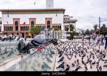 Justizpalast auf dem Mohammed V-Platz in Casca Stockfoto