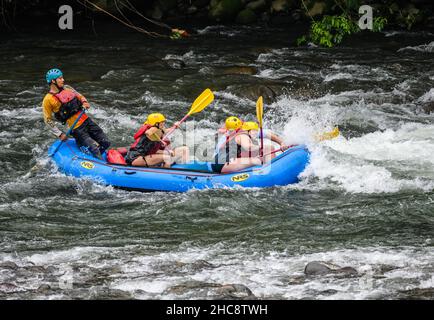 Eine Gruppe von Touristen Wildwasser-Rafting im Sarapiqui River. Heredia, Costa Rica. Stockfoto