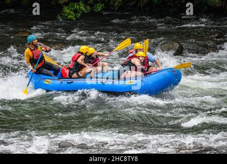 Eine Gruppe von Touristen Wildwasser-Rafting im Sarapiqui River. Heredia, Costa Rica. Stockfoto