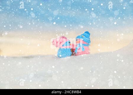 Niedliche hausgemachte Schneemänner mit Tüchern und Hüten auf dem Berg. Winter's Tale. Grußkarte mit Kopierplatz. Winterhintergrund. Stockfoto