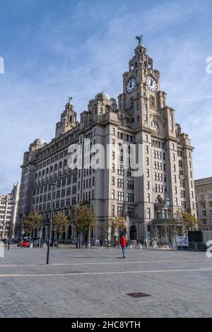 Vertikale Aufnahme des Royal Liver Building in Liverpool, Großbritannien Stockfoto