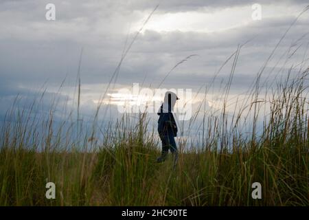 Eine einsame Silhouette eines Teenagers bei schlechtem Wetter auf einem Feld. Ein Teenager mit Kapuze in einem Sommerfeld. Das Konzept von Teenagern und Einsamkeit Stockfoto