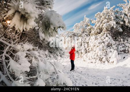 Frau in roter Jacke, die mit verschneiten Bäumen im Winterwald steht. Weihnachtszeit reist Stockfoto