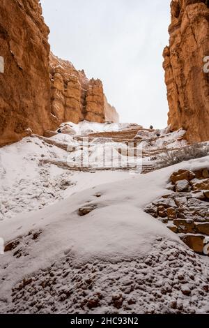 Der Navajo Trail schlängelt sich mit frischem Schnee am Bryce Canyon entlang Stockfoto