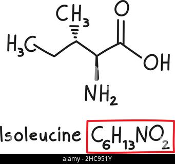 Handgezeichnete chemische Molekülformel der Aminosäure Isoleucin im Doodle-Stil isoliert. Stock Vektor