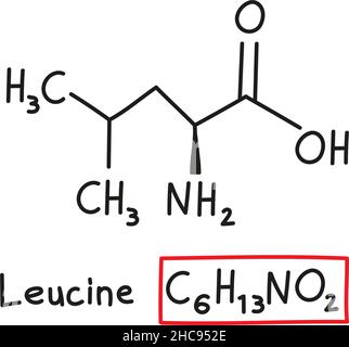 Handgezeichnete chemische Molekülformel der Aminosäure Leucin im Doodle-Stil isoliert. Stock Vektor