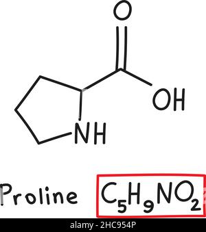 Handgezeichnete chemische molekulare Formel der Aminosäure Proline im Doodle-Stil isoliert. Stock Vektor