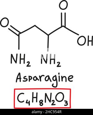 Handgezeichnete chemische molekulare Formel von Aminosäure Asparagin im Doodle-Stil isoliert. Stock Vektor