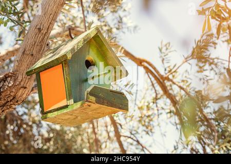 An einem Olivenbaum hängt ein Vogelhaus aus Holz. Vögel im Frühling füttern und Vögel beobachten Stockfoto