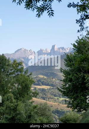 Blick auf den Gipfel Naranjo de Bulnes in den Picos de Europa, Asturien, Spanien, eingerahmt zwischen Ästen von Bäumen im Vordergrund, vertikal Stockfoto