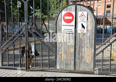 Deutscher Schäferhund bewacht Geschäftsräume in Lettland Stockfoto