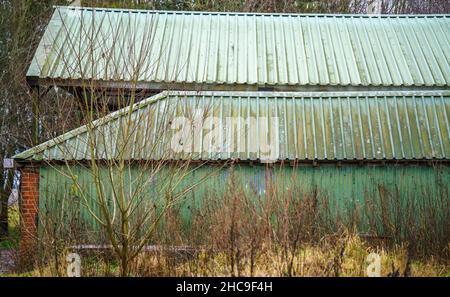 Große, leere, hellgrüne Scheune mit einem gewellten Dach und Wänden Stockfoto