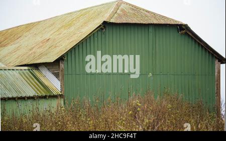Große, leere, hellgrüne Scheune mit einem gewellten Dach und Wänden Stockfoto