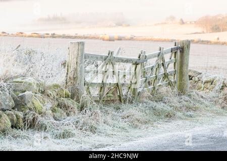 Ein geschlossenes Five Bar Gate, das an einem kalten Wintermorgen in der Landschaft von Aberdeenshire mit Frost bedeckt ist, mit dem ersten Sonnenschein auf Fields in the Distance Stockfoto