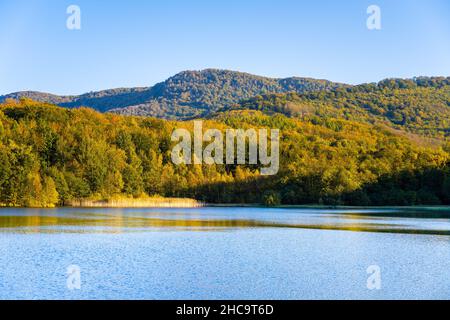 Herbst Buchenwald Reflecter im Wasser Stockfoto