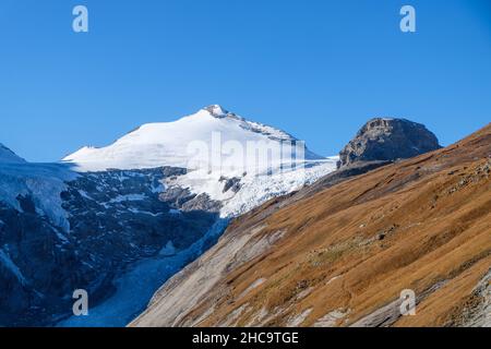 Schneebedeckter Gipfel des Johannisbers mit einem grasbewachsenen Hang und Pasterze-Gletscher darunter Stockfoto