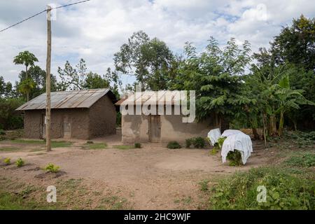 Typisches afrikanisches Dorf, Uganda, Ostafrika Stockfoto
