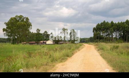 Typisches afrikanisches Dorf, Uganda, Ostafrika Stockfoto
