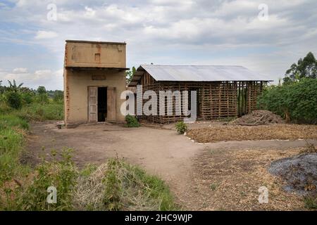 Typisches afrikanisches Dorf, Uganda, Ostafrika Stockfoto