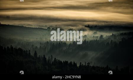 Geheimnisvoller Wald und Berge bei Sonnenaufgang. Die Bäume im Hinterlicht. Nationalpark Bieszczady, die Karpaten, Polen Stockfoto