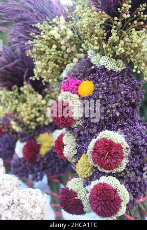 Wunderschöne Wildblumen im Mount Bromo Tengger Semeru Nationalpark, Probolinggo Regency, East Java Province, Indonesien Stockfoto