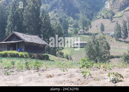 Blick auf den Bromo Tengger Semeru Nationalpark vom Seruni Point aus gesehen, einem der touristischen Ziele im Park Stockfoto