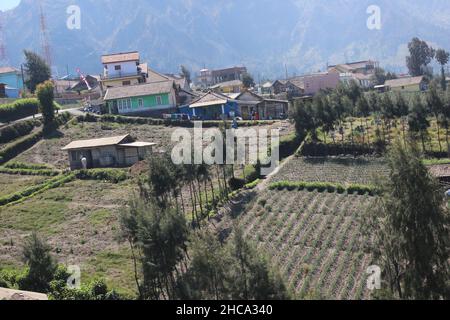 Blick auf den Bromo Tengger Semeru Nationalpark vom Seruni Point aus gesehen, einem der touristischen Ziele im Park Stockfoto