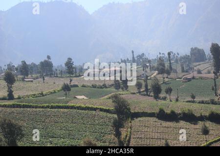 Blick auf den Bromo Tengger Semeru Nationalpark vom Seruni Point aus gesehen, einem der touristischen Ziele im Park Stockfoto