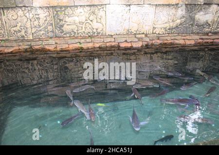 Reliefs von traditionellen Statuen und Gebäuden am Penataran Tempel in der Antike, in der Stadt Blitar, Ost-Java, Indonesien Stockfoto