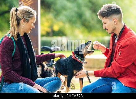 Zwei Freunde spielen mit einem alten kleinen Hund, während sie an einem sonnigen Tag auf einem öffentlichen Park sitzen Stockfoto