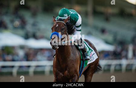 Arcardia, Kalifornien, USA. 26th Dez 2021. 26. Dezember 2021: Flightline #5, geritten von Jockey Flavien Prat, gewinnt am Eröffnungstag im Santa Anita Park in Arcadia, Kalifornien, am 26th. Dezember 2021 die Malibu Stakes (Grad 1). Alex Evers/Eclipse Sportswire/CSM/Alamy Live News Stockfoto