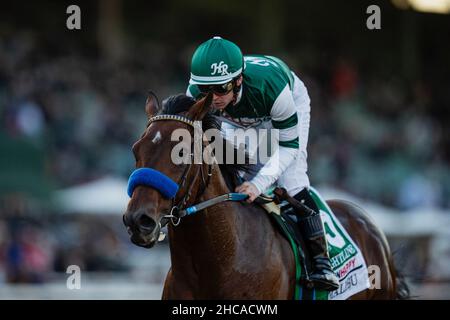 Arcardia, Kalifornien, USA. 26th Dez 2021. 26. Dezember 2021: Flightline #5, geritten von Jockey Flavien Prat, gewinnt am Eröffnungstag im Santa Anita Park in Arcadia, Kalifornien, am 26th. Dezember 2021 die Malibu Stakes (Grad 1). Alex Evers/Eclipse Sportswire/CSM/Alamy Live News Stockfoto