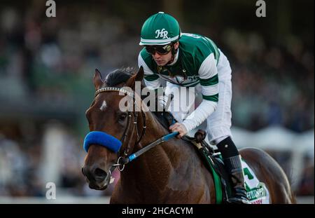 Arcardia, Kalifornien, USA. 26th Dez 2021. 26. Dezember 2021: Flightline #5, geritten von Jockey Flavien Prat, gewinnt am Eröffnungstag im Santa Anita Park in Arcadia, Kalifornien, am 26th. Dezember 2021 die Malibu Stakes (Grad 1). Alex Evers/Eclipse Sportswire/CSM/Alamy Live News Stockfoto