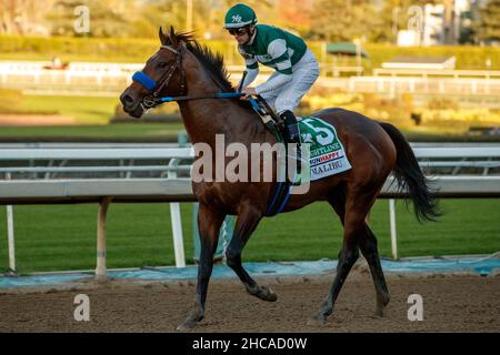 Arcardia, Kalifornien, USA. 26th Dez 2021. 26. Dezember 2021: Flightline #5, geritten von Jockey Flavien Prat, gewinnt am Eröffnungstag im Santa Anita Park in Arcadia, Kalifornien, am 26th. Dezember 2021 die Malibu Stakes (Grad 1). Casey Phillips/Eclipse Sportswire/CSM/Alamy Live News Stockfoto