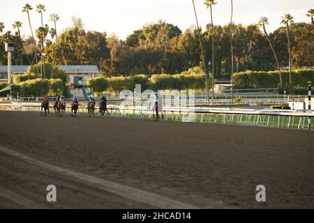 Arcardia, Kalifornien, USA. 26th Dez 2021. 26. Dezember 2021: Flightline #5, geritten von Jockey Flavien Prat, gewinnt am Eröffnungstag im Santa Anita Park in Arcadia, Kalifornien, am 26th. Dezember 2021 die Malibu Stakes (Grad 1). Casey Phillips/Eclipse Sportswire/CSM/Alamy Live News Stockfoto