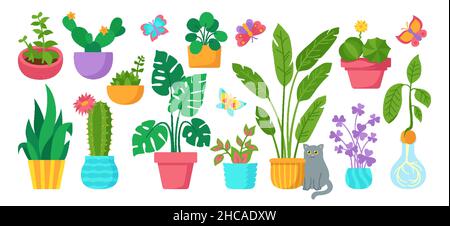 Haus Pflanze im Topf, dekorative Cartoon-Set. Exotische Zimmerpflanzen Blumentopf für den Innenbereich. Botanisches Haus innen blühende Pflanzen, Blume, Kaktus, Monstera, Aloe, Keramik. Isolierter flacher Vektor Stock Vektor