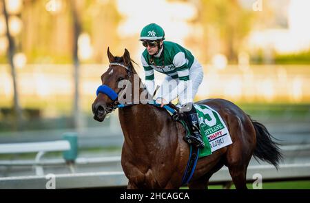 Arcardia, Kalifornien, USA. 26th Dez 2021. 26. Dezember 2021: Flightline #5, geritten von Jockey Flavien Prat, gewinnt am Eröffnungstag im Santa Anita Park in Arcadia, Kalifornien, am 26th. Dezember 2021 die Malibu Stakes (Grad 1). Alex Evers/Eclipse Sportswire/CSM/Alamy Live News Stockfoto