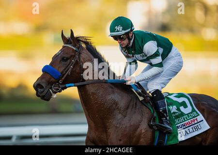 Arcardia, Kalifornien, USA. 26th Dez 2021. 26. Dezember 2021: Flightline #5, geritten von Jockey Flavien Prat, gewinnt am Eröffnungstag im Santa Anita Park in Arcadia, Kalifornien, am 26th. Dezember 2021 die Malibu Stakes (Grad 1). Alex Evers/Eclipse Sportswire/CSM/Alamy Live News Stockfoto