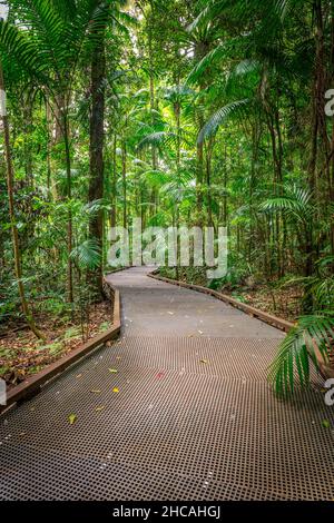 Das Mary Cairncross Scenic Reserve umfasst 55 Hektar subtropischen Regenwald mit Blick auf die Landschaft der Glass House Mountains Stockfoto