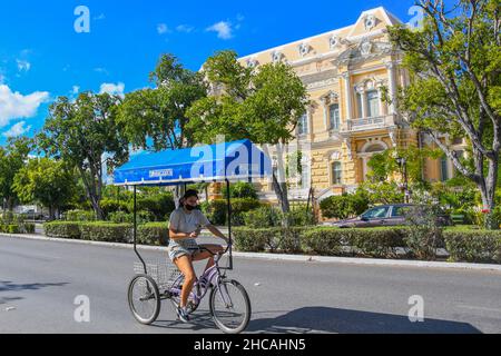 Menschen Radfahren auf der Fahrradroute auf Paseo de Montejo (für den Verkehr gesperrt) am Sonntag, Merida Mexiko Stockfoto