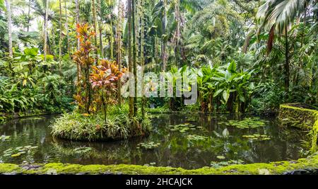 Hilo. Hawaii - 30. November 2021: Wunderschöner Teich in Hawai'i Tropical Bioreserve and Garden auf Big Island, Hawaii Stockfoto