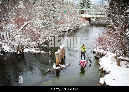 Ein Paddelboarder paddelt während eines Schneesturms einen kanadischen Fluss hinauf. Whistler, BC, Kanada. Stockfoto