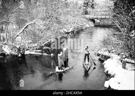 Ein Paddelboarder paddelt während eines Schneesturms einen kanadischen Fluss hinauf. Whistler, BC, Kanada. Stockfoto