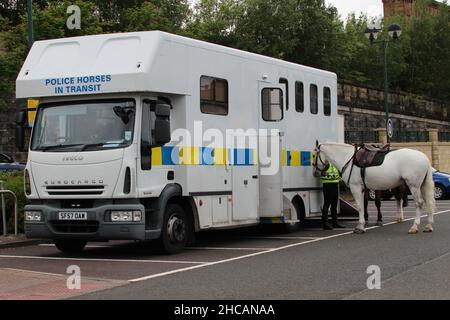 SF57 OAW, ein Iveco EuroCargo-Lastwagen, der von Police Scotland in der Rolle des Pferdetransports in Greenock in Inverclyde, Schottland, betrieben wird (mit Pferden). Stockfoto