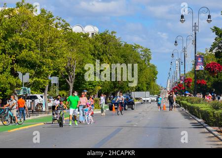 Paseo de Montejo, Merida, Mexiko Stockfoto