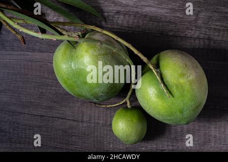 Mangofrucht mit Stielen und Blättern noch befestigt Stockfoto