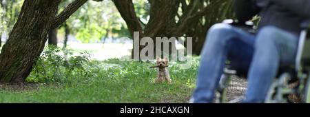 Mann läuft mit Hund im Park Stockfoto