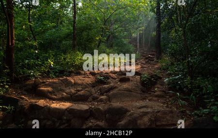 Sonnenstrahlen sind von den Bäumen auf dem Fußweg, der zum Karnala Fort durch den Wald des Karnala Bird Sanctuary in Panvel führt, gefallen Stockfoto